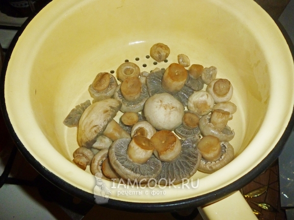 Откинуть грибы на дуршлаг