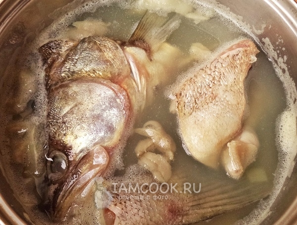 Положить в кастрюлю с водой рыбу, картофель и лук