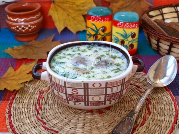 Рецепт супа с шампиньонами и плавленным сырком