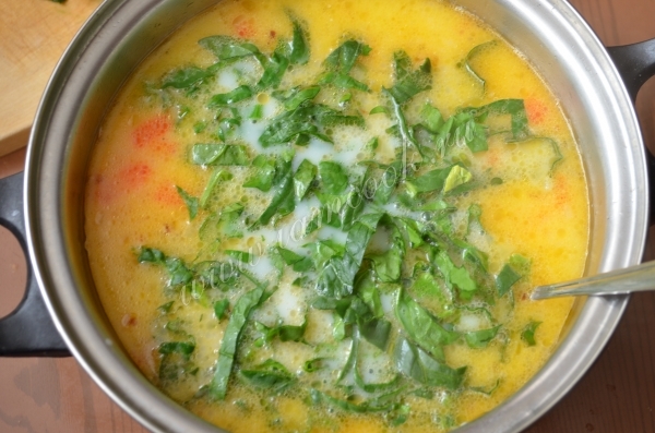 Готовим рыбный суп со шпинатом и семгой