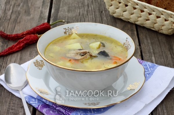 Фото супа с консервой сардины