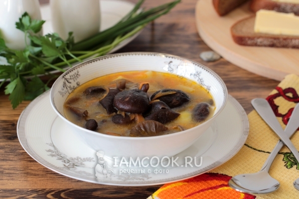 Рецепт вкусного грибного супа из замороженных грибов