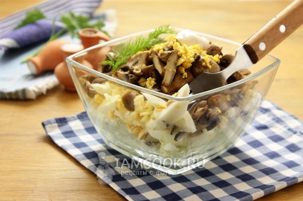 Фото салата из грибов, яиц и сыра