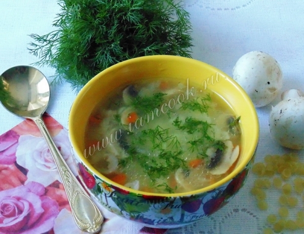 Рецепт грибного супа с индейкой и макаронами