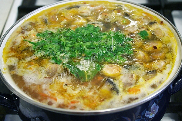Домашний суп с чечевицей и благородными грибами