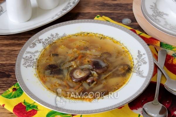 Мамин рецепт супа грибного из замороженных грибов в мультиварке с фото пошагово
