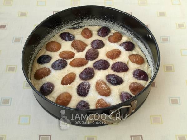 Дрожжевой пирог с творогом и абрикосами – кулинарный рецепт