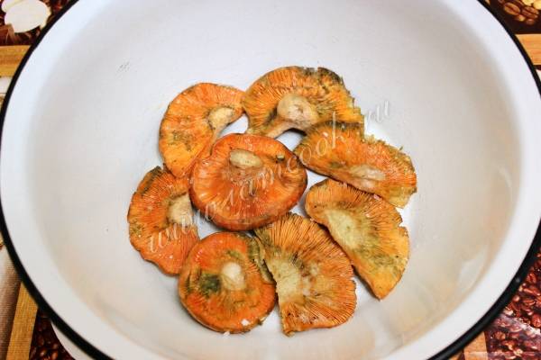 Засолка грибов - Форум, съедобные грибы и грибные описания, фото, рецепты приготовления