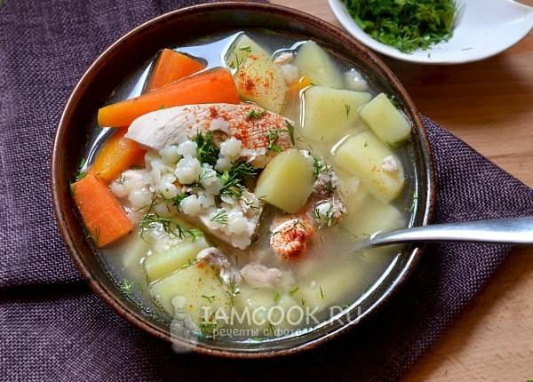 Жиросжигающий куриный суп и грудка без варки: 8 полезных и необычных рецептов из куриного филе