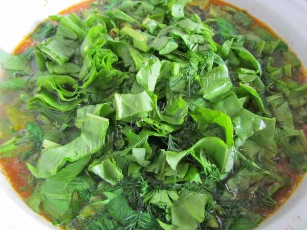 Зеленый борщ со шпинатом и щавелем — рецепт с фото пошагово