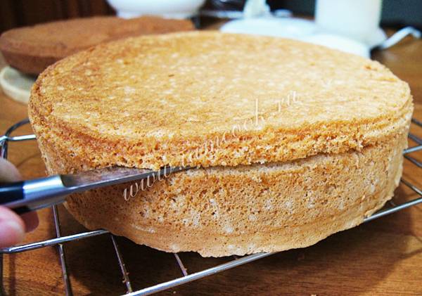 Торт из бисквитных коржей - лучшие рецепты приготовления праздничного десерта