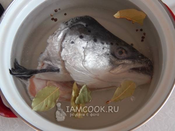 Как готовить заливную рыбу: подборка рецептов от «Едим Дома»
