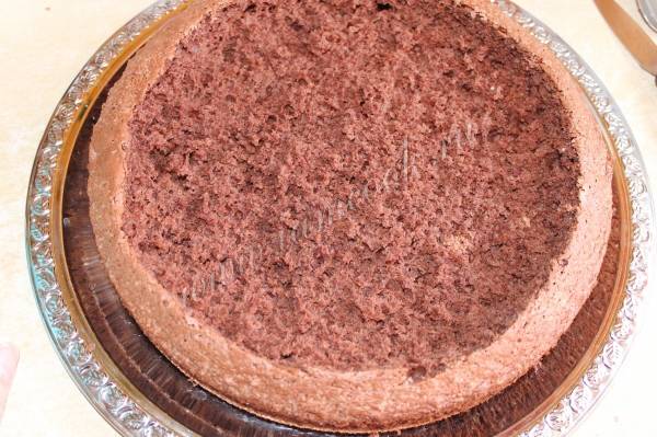 Советы по приготовлению торта «Норка крота» по рецепту с фото пошагово в домашних условиях: