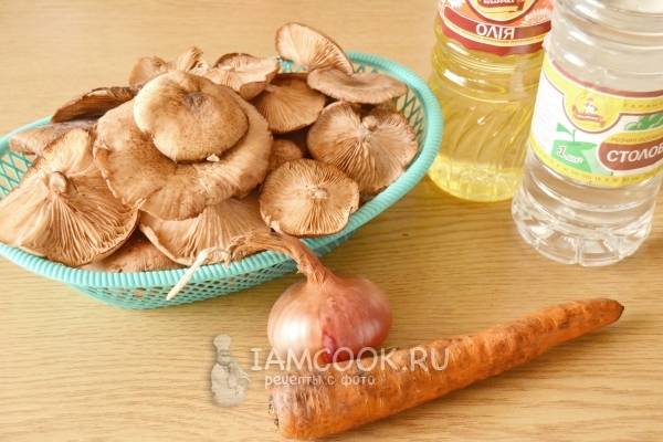 Икра из опят: подготовка грибов, рецепты вкусной грибной икры и советы
