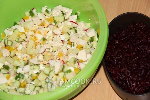 Горячий свекольник с курицей на бульоне