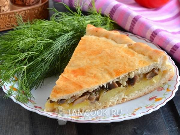 Пирог с грибами и картошкой - рецепт приготовления с фото от rov-hyundai.ru