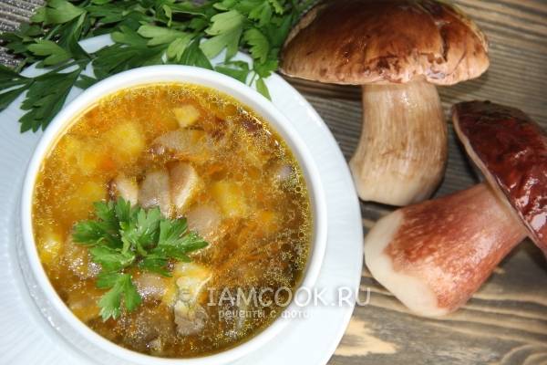 Пошаговое приготовление супа из белых грибов на курином бульоне