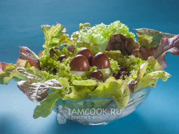 Салат грибная поляна с шампиньонами рецепт с фото пошаговый на бородино-молодежка.рф