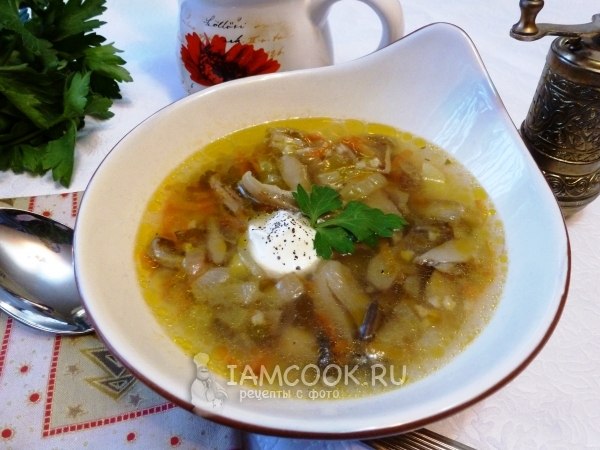 Суп из соленых грибов, рецепт с фото