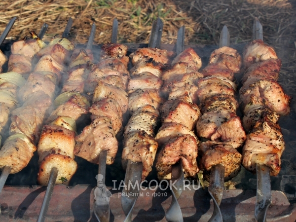 Армянский шашлык из свинины, рецепты с фото