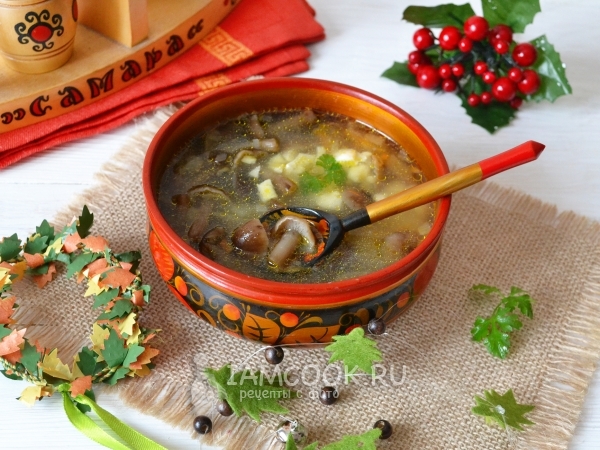 Грибной суп с замороженными опятами - полный пошаговый рецепт с фото и описанием