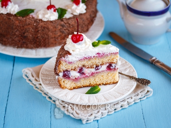 Бисквитный торт со сметанным кремом, пошаговый рецепт на ккал, фото, ингредиенты - SaccharinA